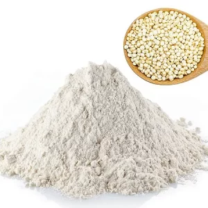 FARINHA DE CHIA - 100g