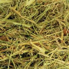 MELÃO DE SÃO CAETANO